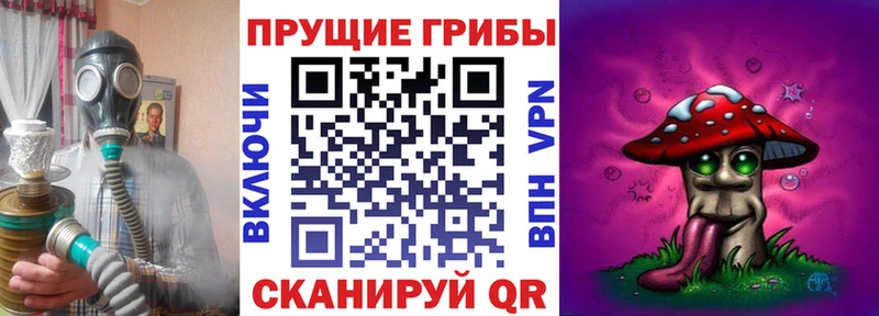 где купить наркотик  Высоковск  Галлюциногенные грибы Psilocybine cubensis 